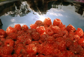 Framboise