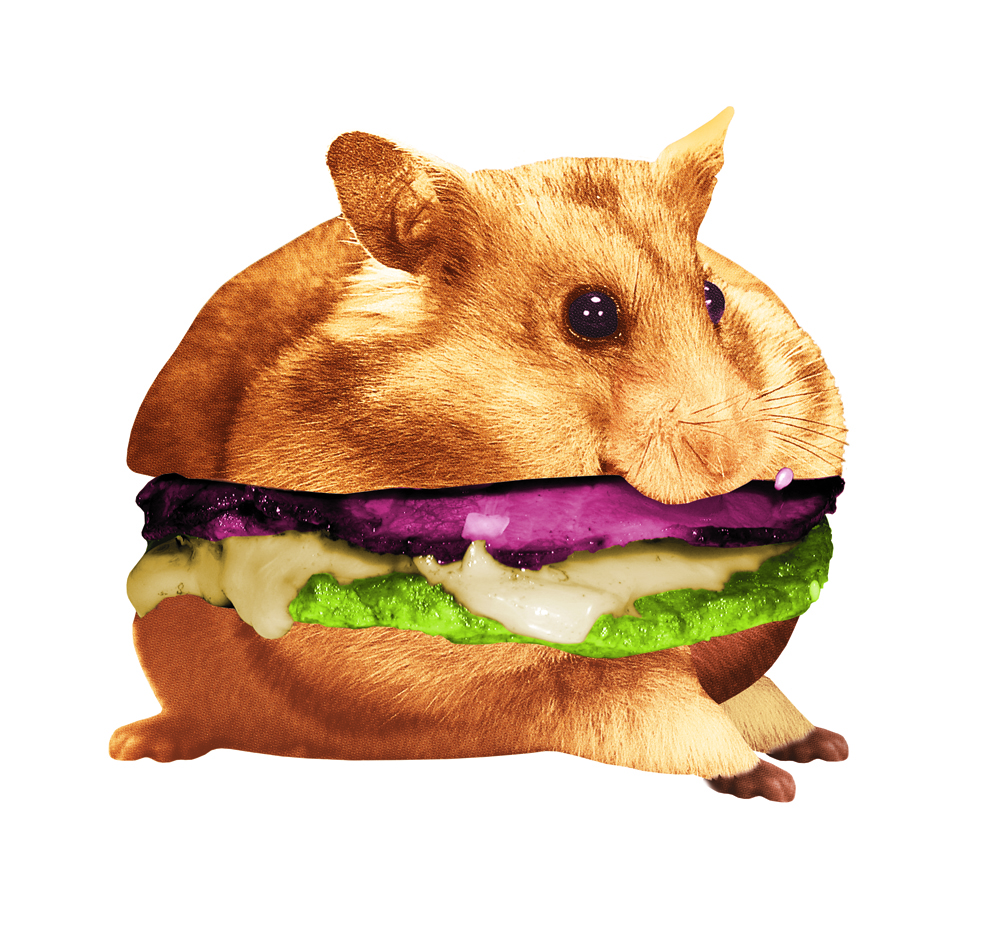 Hamsterburger ou chili-huahua, faites votre choix !